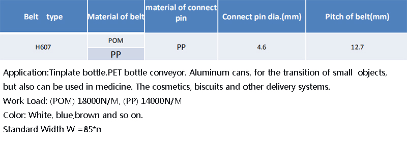 DHP wear resistant modular conveyor belt factory for PET bottle conveyor-4